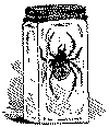 abhb160.gif (4239 bytes)