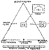 triangle.gif (3736 bytes)